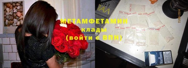 прущие грибы Армянск