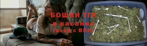 прущие грибы Армянск