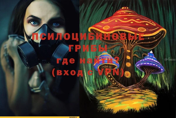 PSILOCYBIN Арсеньев