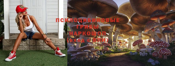 марихуана Баксан