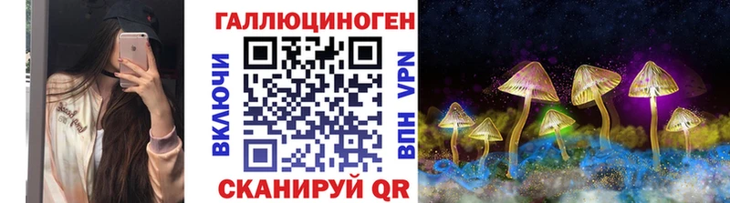 Псилоцибиновые грибы MAGIC MUSHROOMS  магазин  наркотиков  Дыгулыбгей 